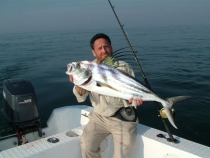 mexico_2008_2