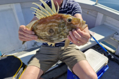 IMG-20250710-WA0005