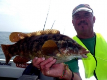 billy-short-and-a-ballan-wrasse