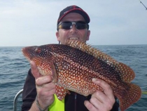 wrasse