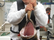 Marcus Wuest, angler fish on practice day