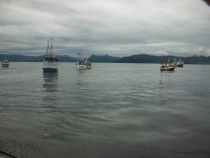 close quarters fishing