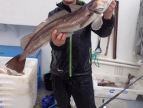 hake_trip_mark