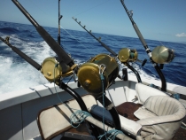 Rod set waiting for a take