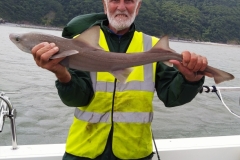 Dave-Clark-Smoothound-2