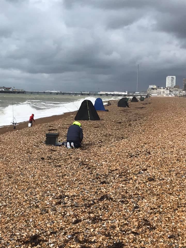 brighton-day one