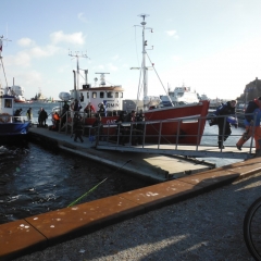 denmark-008