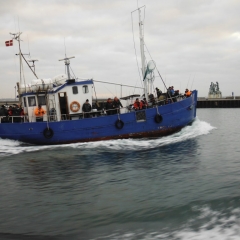 denmark-013