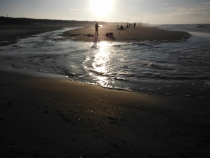 DSCF0508