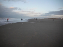 DSCF0510