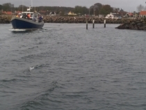 Leaving harbour