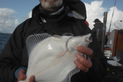 Barrie-Senior-51cm-plaice