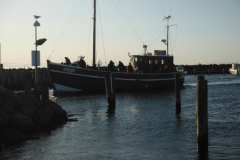 DSCF0699
