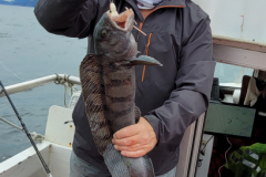 Dick-Prosser-with-catfish-2-Copy