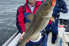 Matt-Osborne-with-fine-cod-Copy