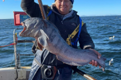 Neil-Cottington-fine-toothey-catfish-2-Copy