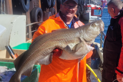 Nigel-Hearn-more-used-to-catching-Norwegian-cod-Copy