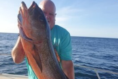 Andy-Selby-Boat-Caught-Mullet-Snapper-34lb-0oz-2024