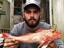 Kyle Bowler Red Gurnard 1lb 15oz 2017