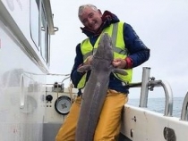 Michael Doody Boat Caught Conger Eel 71lb 0oz 2018