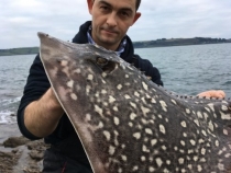 John Locker Shore Caught Thornback Ray 10lb 11oz 2019