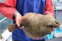 Barrie-Senior-Boat-Caught-Plaice-3lb-4oz-2020