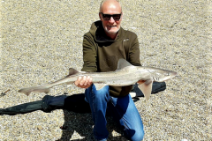 Steve-Butcher-Shore-Caught-Smoothound-10lb-12oz-2020
