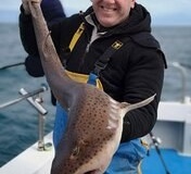 Perry-Dack-Boat-Caught-Bull-Huss-17lb-4oz-2021