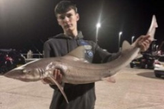 Aron-Williams-Shore-Caught-Smoothound-15lb-3oz-2026