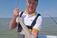 Gary-Geoghegan-Boat-Caught-Smoothound-12lb-8oz-2026