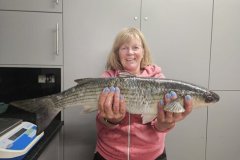 Jane-Johns-Shore-Caught-Thick-Lipped-Mullet-4lb-15oz 2026