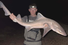 Morgan-Venn-Shore-Caught-Smoothound-14lb-2oz-2026
