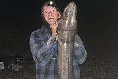 Nick-Cassford-Shore-Caught-Conger-Eel-28lb-12oz-2026