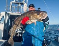 Nigel-Hearn-Boat-Caught-Cod-Overseas-65lb-1oz-2026