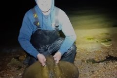 Rodney-Whitewood-Shore-Caught-Stingray-52lb-0oz-2026
