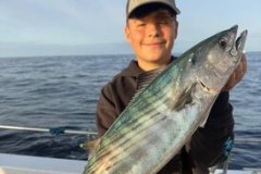 Tommy-Bacon-Boat-Caught-Bonito-7lb-1oz-2026