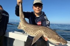 Tommy-Bacon-Boat-Caught-Bull-Huss-13lb-8oz-2026