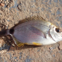 malta-2015-11