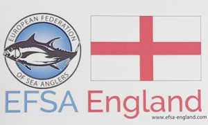 EFSA England Tackle Box Sticker